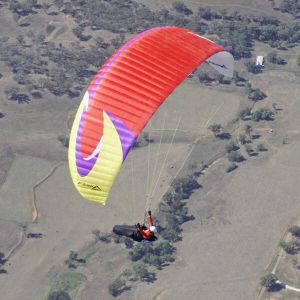 Vente Cosmos S Rouge - Voile neuve